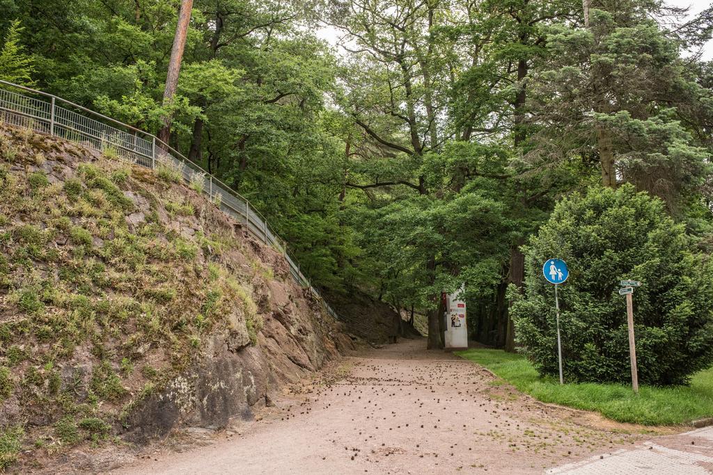 Loftwohnung Mit Sauna - Natur Und Kultur In Eisenach Erleben Und Geniessen Eksteriør billede